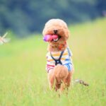 納骨埋葬のご依頼