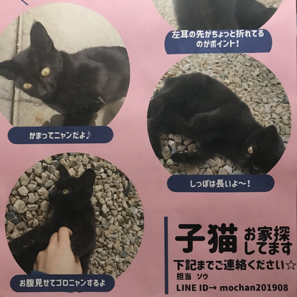 里親さん大募集！！