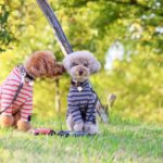 年末年始の営業