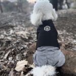 駐車場ご利用のお客様へ