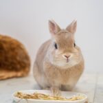 12月法要日の様子