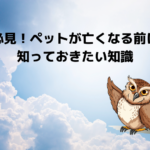 必見！ペットが亡くなる前に知っておきたい知識