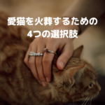 猫を火葬するための4つの選択肢