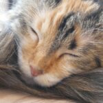 骨壷の管理方法