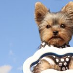 法要会のお知らせ