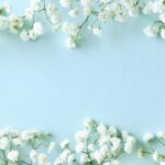 ペット火葬に添えるお花