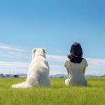 ペット火葬について知ろう