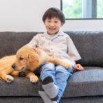 ペット葬儀を依頼する前に