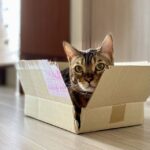 ペットを持ち込んで火葬ができますか？