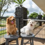 ペット葬儀の流れは？