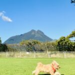 私有地以外の埋葬は違法？