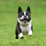 定例法要会のお知らせ