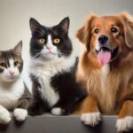 福岡で犬の火葬を行うなら動愛園へ