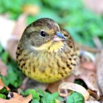 ペット葬儀の流れ ~大切な家族とのお別れ~