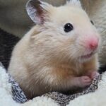 お客様の声をご紹介