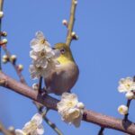 ペットの四十九日 - 愛する家族への思いを込めて