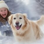 冬にペットが亡くなったら？安置する方法