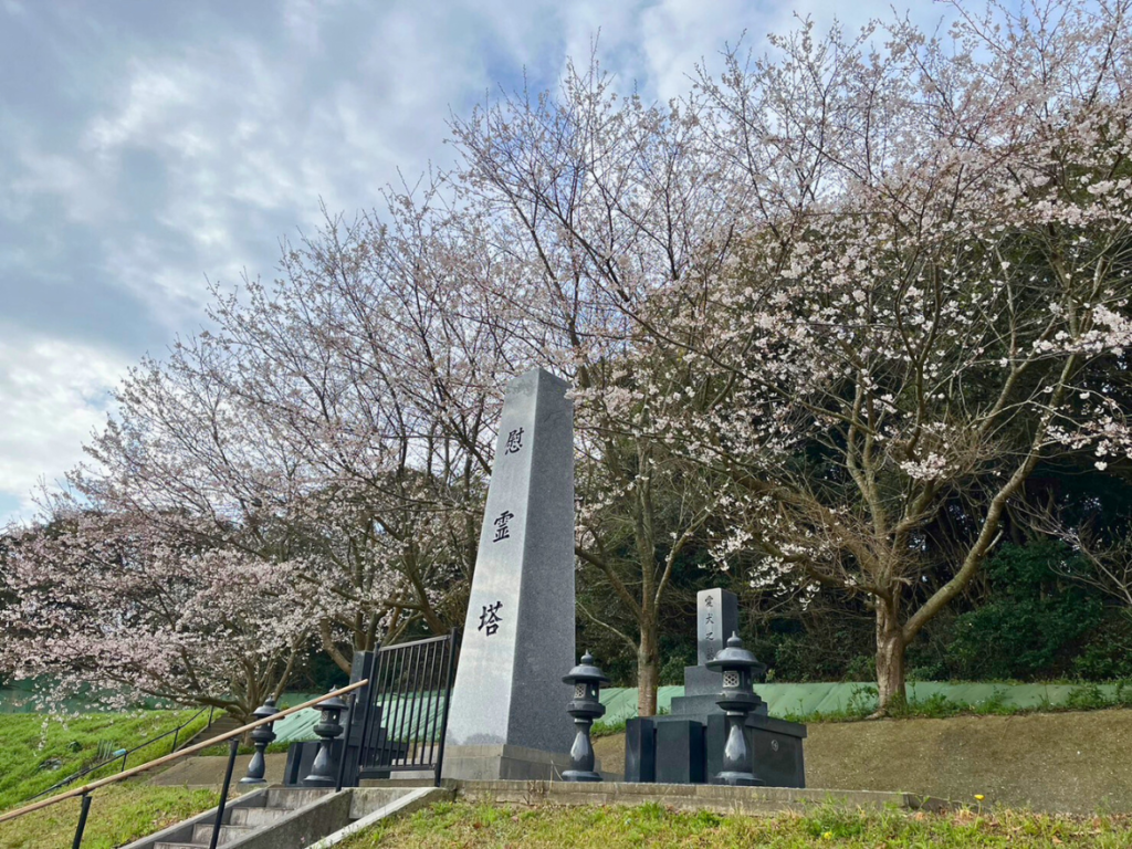 ペット法要はいつまで続けるべきか？