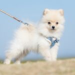 令和６年法要日程のお知らせ