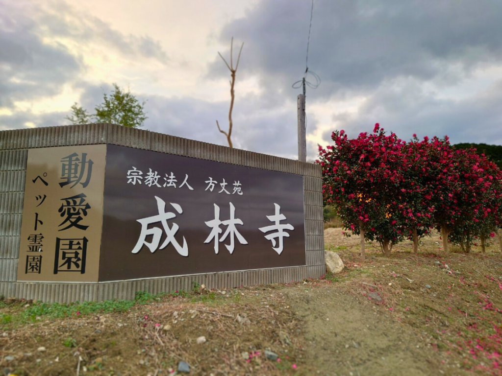 お客様の声をご紹介