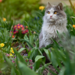 お客様の声をご紹介
