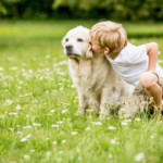 【火葬プラン紹介】ぬくもり