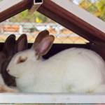 電車でお越しの方への無料送迎サービス