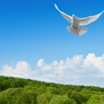 ペットの安らかな旅立ちを支える「動愛園」の供養