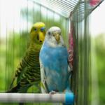 動愛園糸島霊園の納骨方法について：ご遺骨の供養と選べるプラン