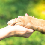 初七日・四十九日・一周忌の意味と供養