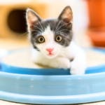 急な予定変更でも安心｜動愛園の対応