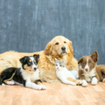 福岡で選ばれる動愛園【おまかせ合祀プラン】｜料金