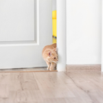 【福岡県】動愛園が伝えるご遺骨保管の不安とその解決法