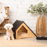 合同法要とは？火葬後の心の整理に