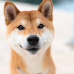 大切な子のために知っておきたい供養の知識