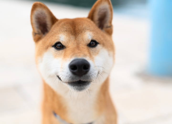 大切な子のために知っておきたい供養の知識