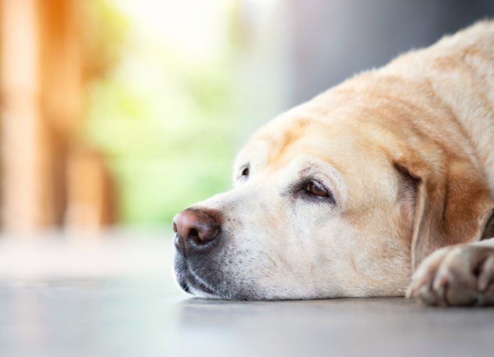 【動愛園 糸島霊園に聞く】葬儀前の３つの確認ポイント