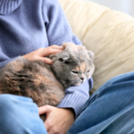 ペットの旅立ちを家族で考える時間｜想いの共有