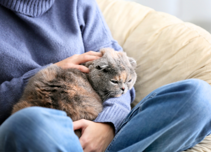 ペットの旅立ちを家族で考える時間｜想いの共有