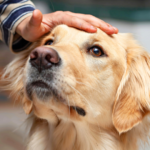 愛する子に伝えたい言葉と想い