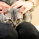 ご葬儀を迷われている方のための質問集