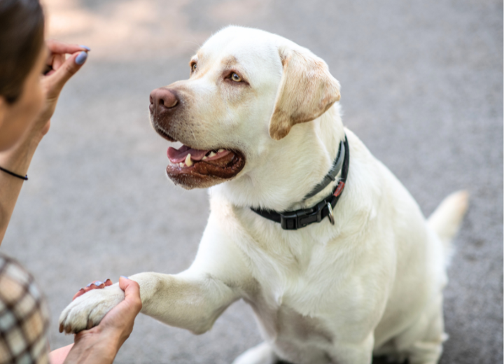 最期に伝える“ありがとう”に込める想い