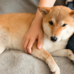 相談前に準備しておきたい大切なこと