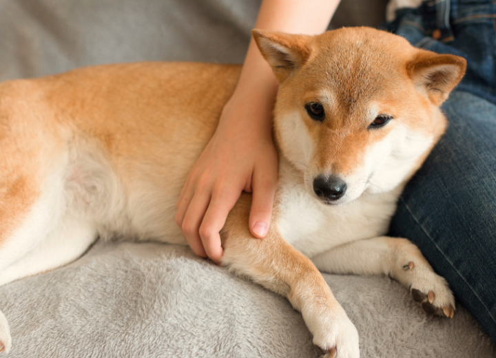 相談前に準備しておきたい大切なこと