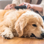 秋冬の体調不良とそのときの備え