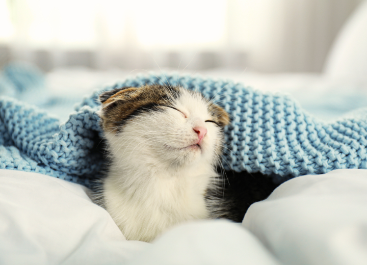 供養って何をするの？心を整える第一歩