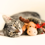 冬の安置・服装・予約の注意点｜よくある質問