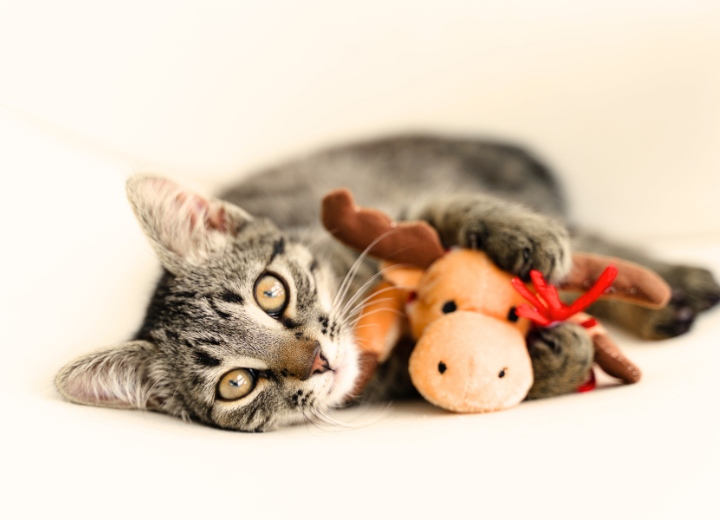 冬の安置・服装・予約の注意点｜よくある質問