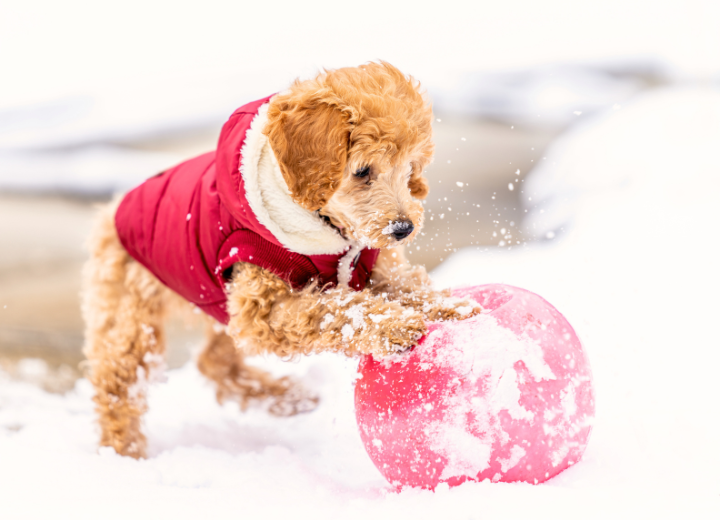 冬場のご遺体安置で気をつけたいこと