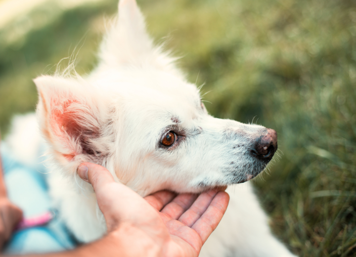 家族で話す見送り方｜大切な決めごと